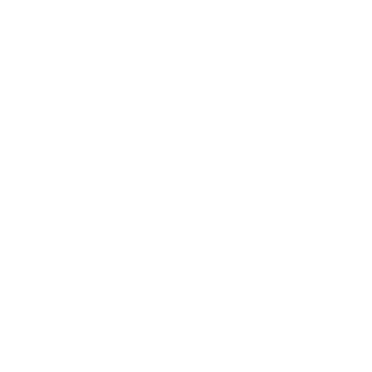 PH-logo-wordmark-transp-white